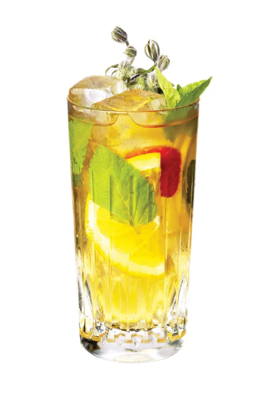 Difford's Fruit Cup No.1 (gin based & Pimm's Cup-like)