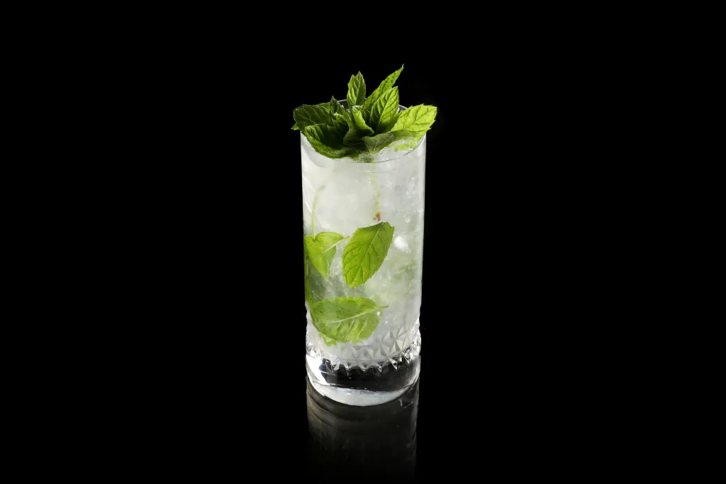 Elderflower Mojito