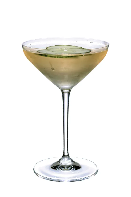 Iced Sake Martini