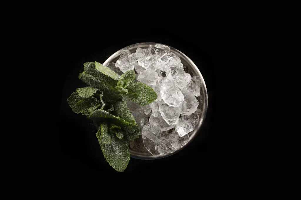Mint Julep Cocktail