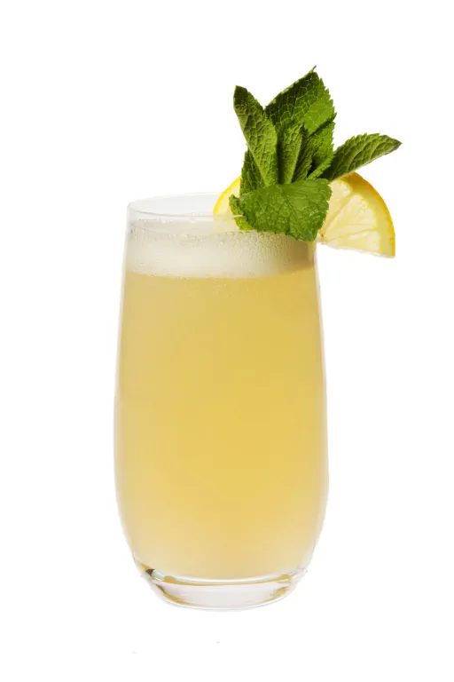 New Orleans Gin Fizz